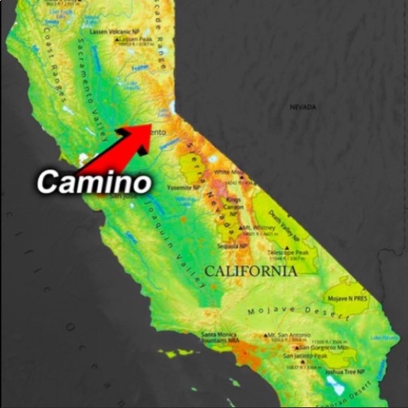 Xhileration Dusty Rose all lace longline bralette - Picture 13 of 15